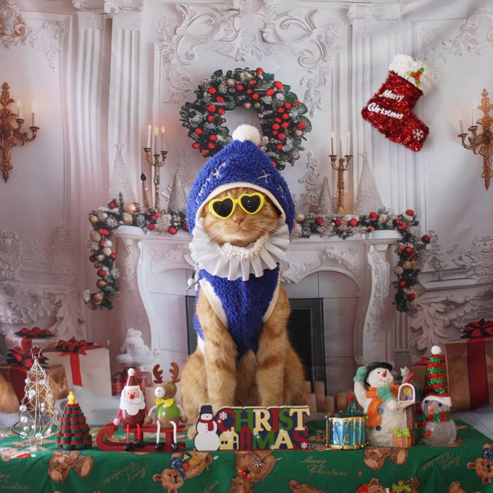 B00861c7 fb76 4c83 8d27 34bafa20a444 1765501100573