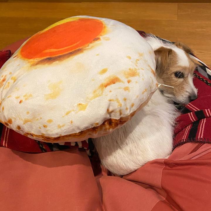 B00870fe 5d08 4144 967f a896740bccdf 1733408593122