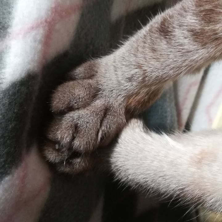 B0087348 aba5 4b08 88ad 1f95c7d74578 1538997500159