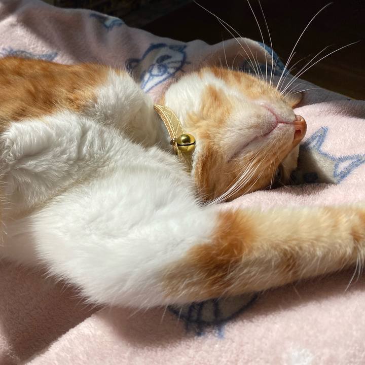 B0087569 e6d0 45b7 ad56 0d5b4ba24c4b 1586176006449