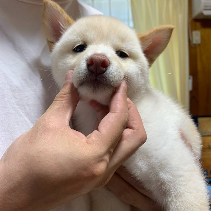 B008791a b6f2 463e 8e3d c3a5c410c4ab 1718358467628