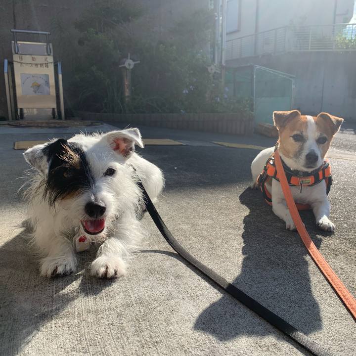 B008b681 e998 45e6 a7f1 9cde9b5d5365 1632353271699