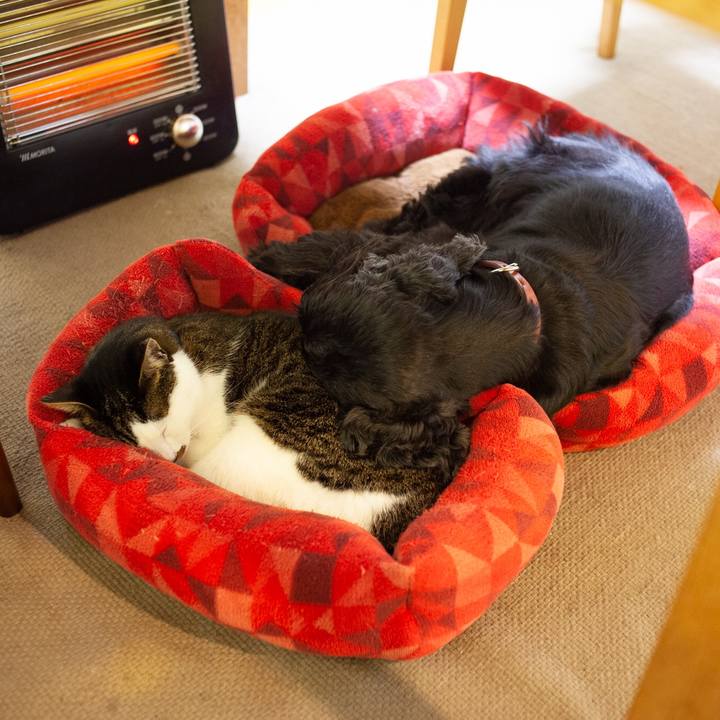 B008e767 c1c1 4619 a7d8 1aa8f7bb6aa4 1582681746127