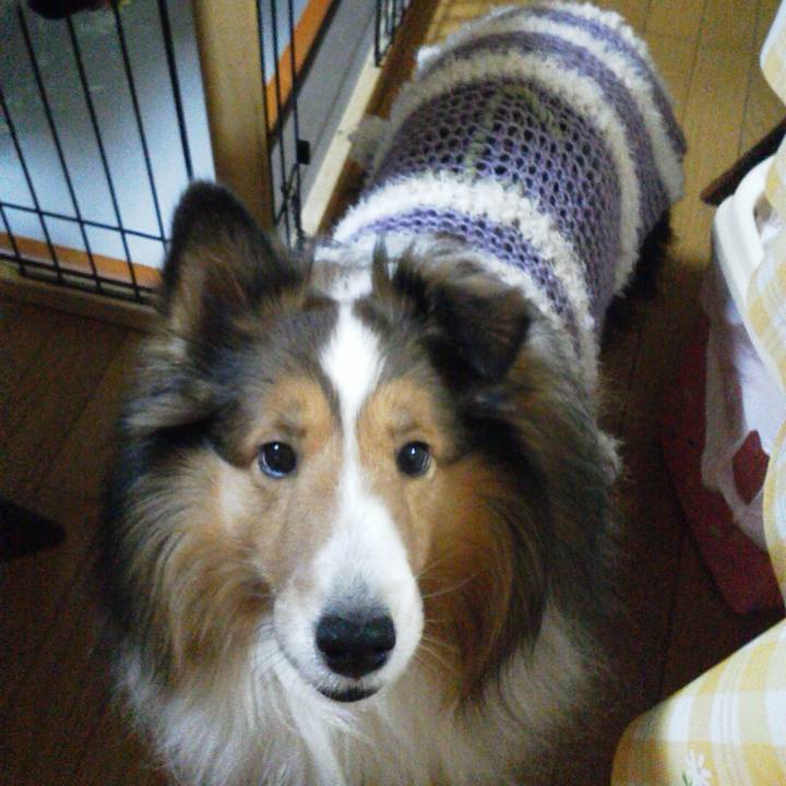 B008fb13 2fd9 4477 bbca 6ff956684a9f 1701669201869