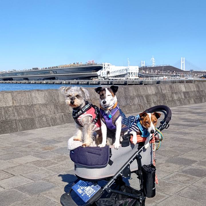 B0090b2a 4260 493a 93ca 48eeb840c292 1679229248466