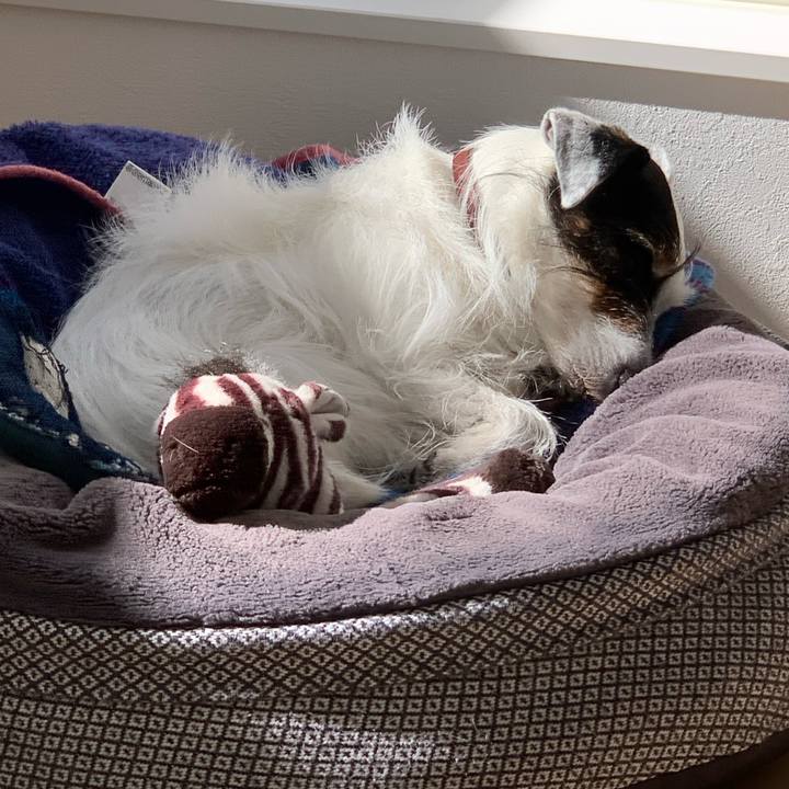 B0095152 619d 4054 a2ce 4966b6303c39 1707879081013