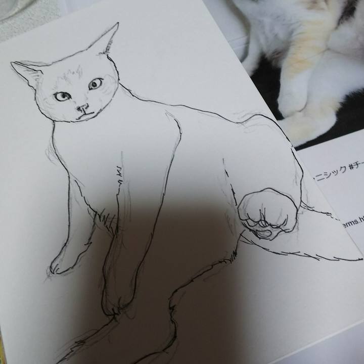 B00965f8 55e7 4032 8600 81e198881633 1538905856190