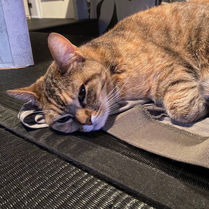 B00972b6 eacc 443a b21b 100accfbbd3c 1588761427617