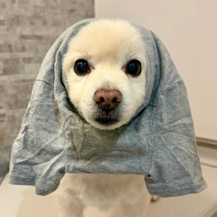 B0097ccd efd1 487b 93a1 d7ee220cbe92 1765715996199