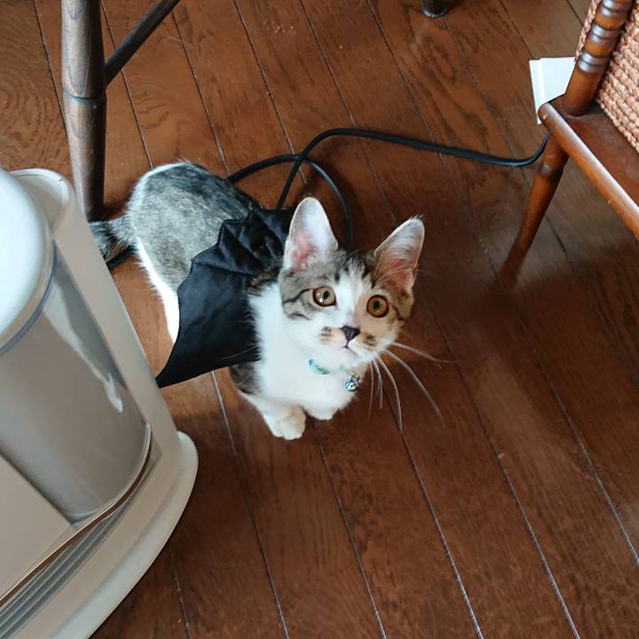 B009e461 5e8b 4c7f a77e 8472a065cbc3 1545121406960