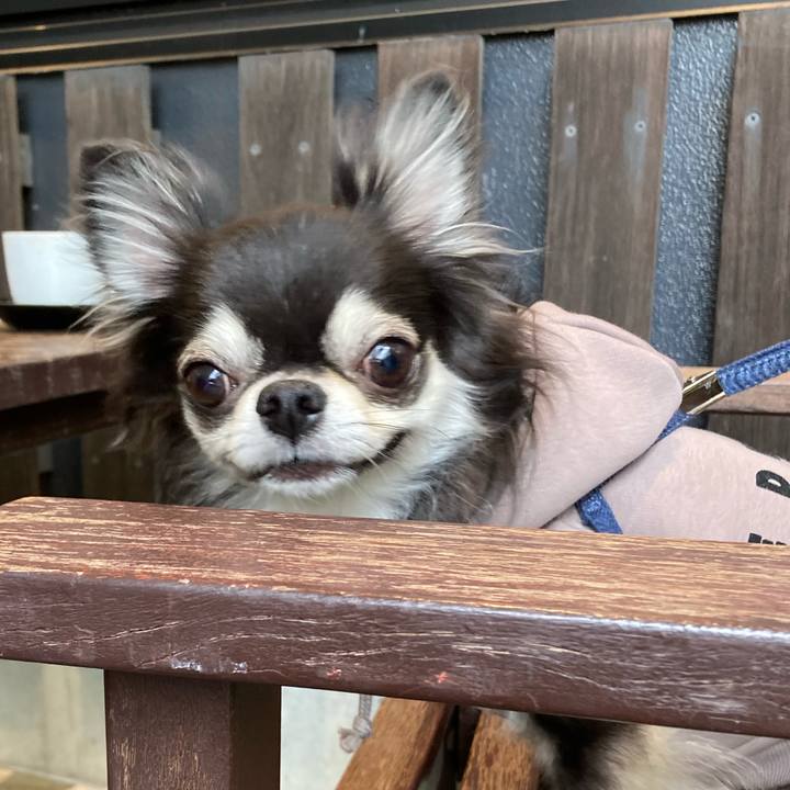 B009f4ca 67a1 450a 8fe0 f1994b3f68f9 1668922958649