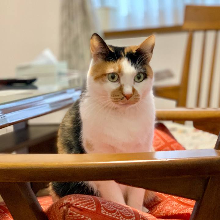 B009f980 56f7 43b9 a3a1 b57ebbc064af 1770023458575