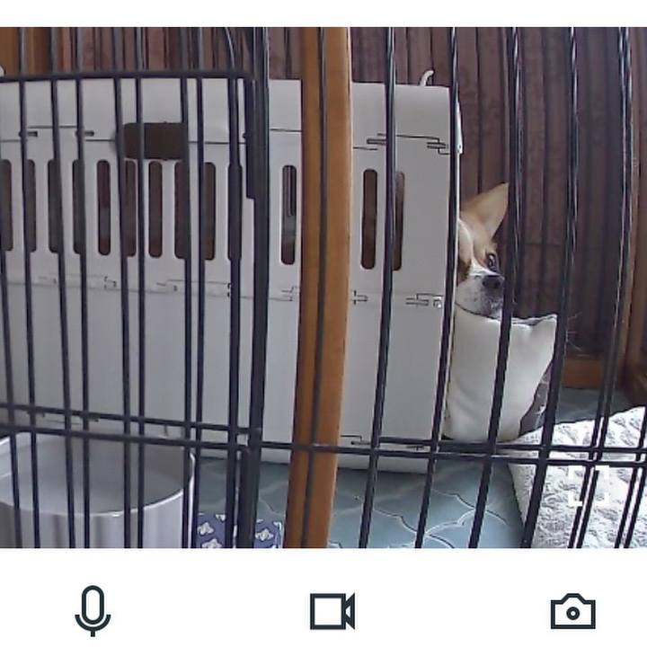 B00a0835 3c30 46fb a452 f2030e689c04 1700036978414