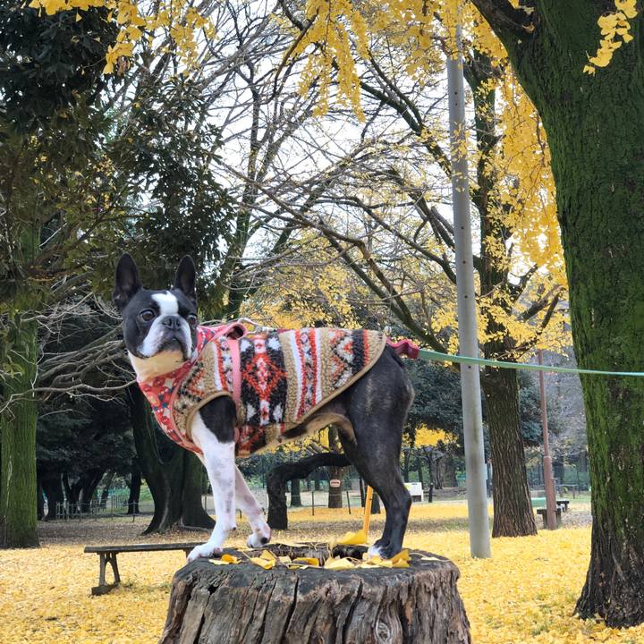 B00a525c 013c 44a2 9ff7 8021f3427180 1702382856485