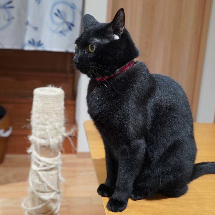 B00a6d3c 0a91 4ee6 a6f0 a56910c77347 1608734520585