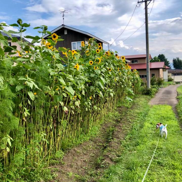 B00a9d12 f4cb 4bff a23b 2d619b8fb4b5 1597055196740