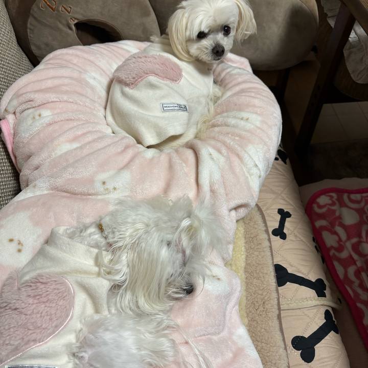 B00b02e4 6e2f 4f6d a9aa e9de9c70a04e 1737889667960