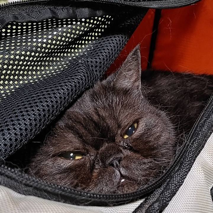 B00b2c65 ba92 44ea a080 f0d9943aea36 1629290498300