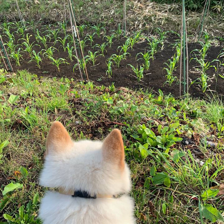 B00b3408 ae3c 4261 904d e83831510c99 1560980120924