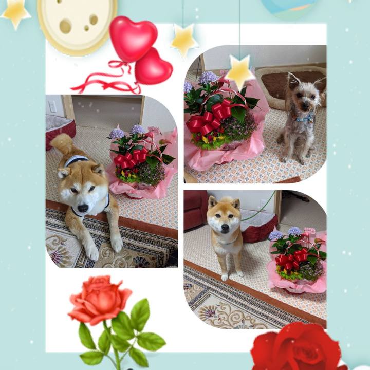 B00b5a5a 5426 443f acec 2b7a4c7a63f5 1589102566155