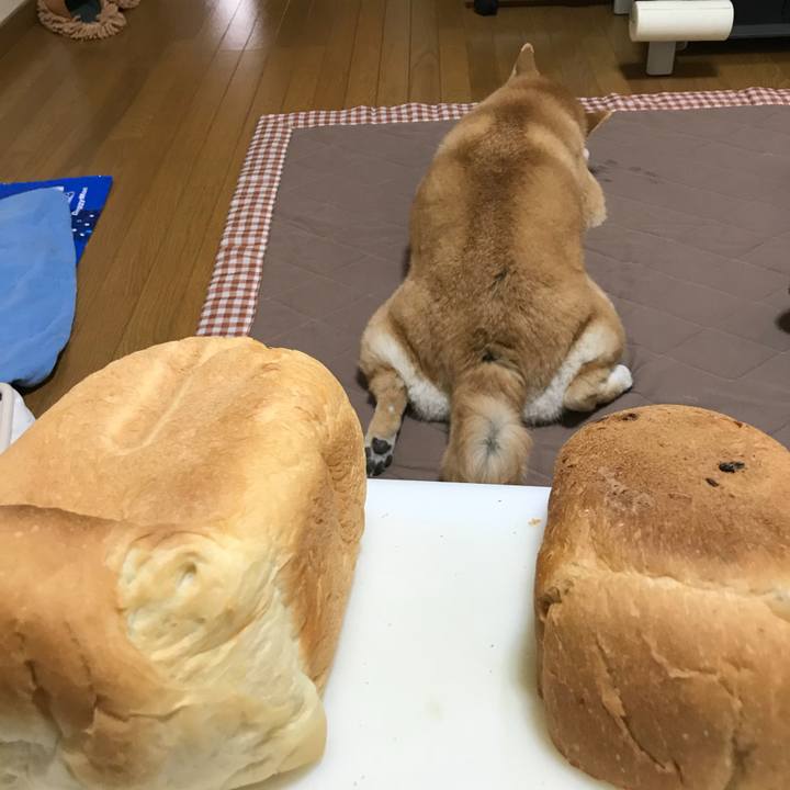 B00bad90 e8d4 4ca5 952c d9bd38f3ed05 1525786869263