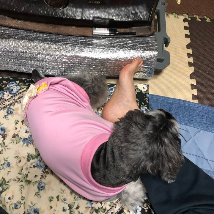 B00bc28f ccf6 427d b512 1e2d383cbfb4 1669179620020