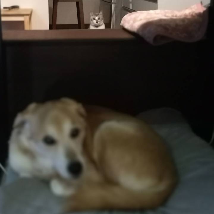 B00bcb0e 6238 4318 af6c 98b40c9431db 1579302886853