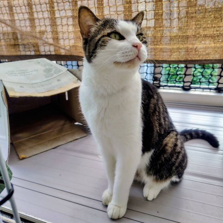 B00c043b 3da2 4b1c a90f e8af24286a3d 1760067484719