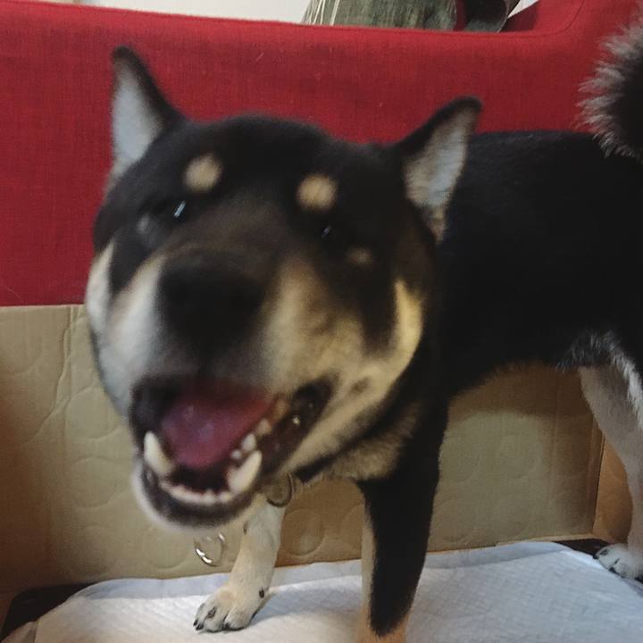 B00c1e98 defd 4182 9caf 4d71ae5a4ee7 1518603839373