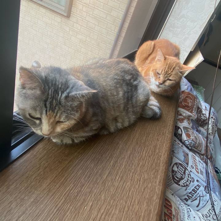 B00c5d65 944d 41ab 970a 208ceac8e798 1627894202157