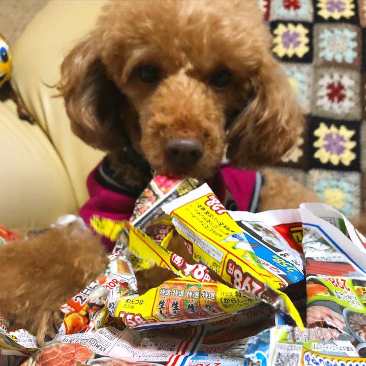 B00ca2df f7b8 4ac7 bf1b 5b52ffffa757 1606902453489