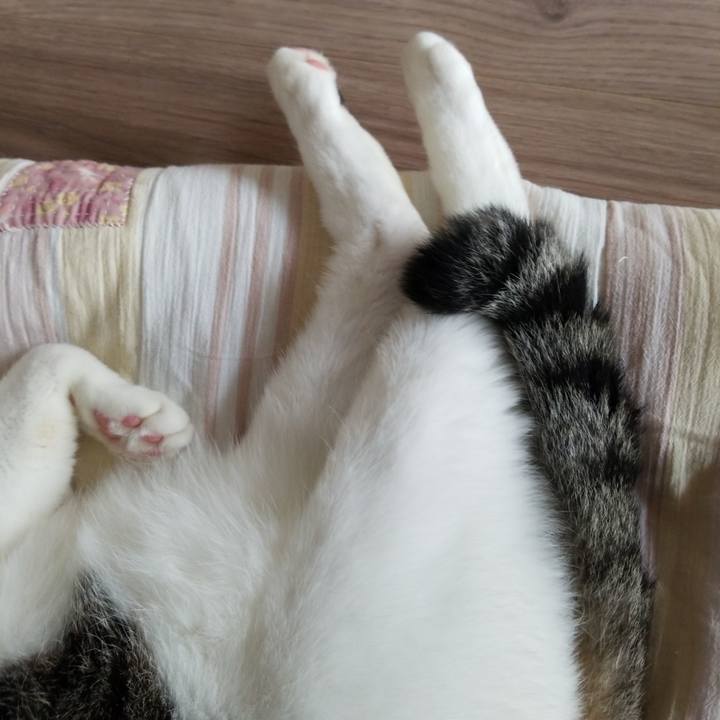 B00cb1a6 6585 4896 bb95 6b0c4494bfc9 1596949036592