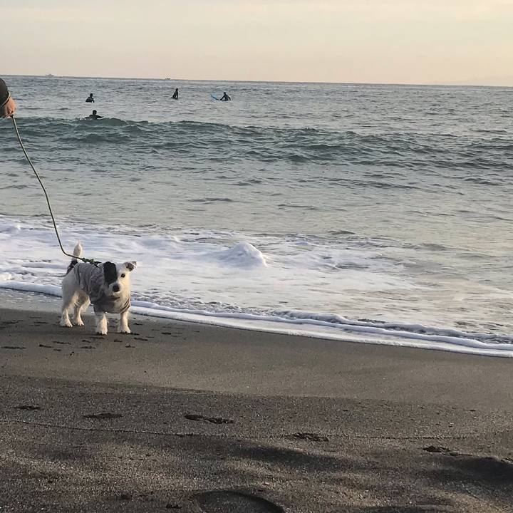 B00cc2b2 f372 4daa a341 c98d504d5b8e 1543133068784