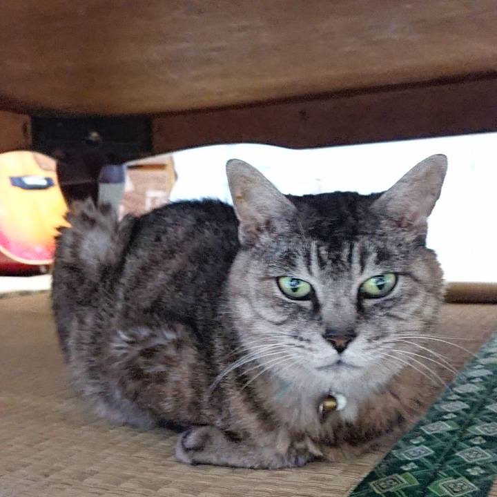 B00cdde4 d3c3 434b b86d e25be46c3ee8 1567331772532