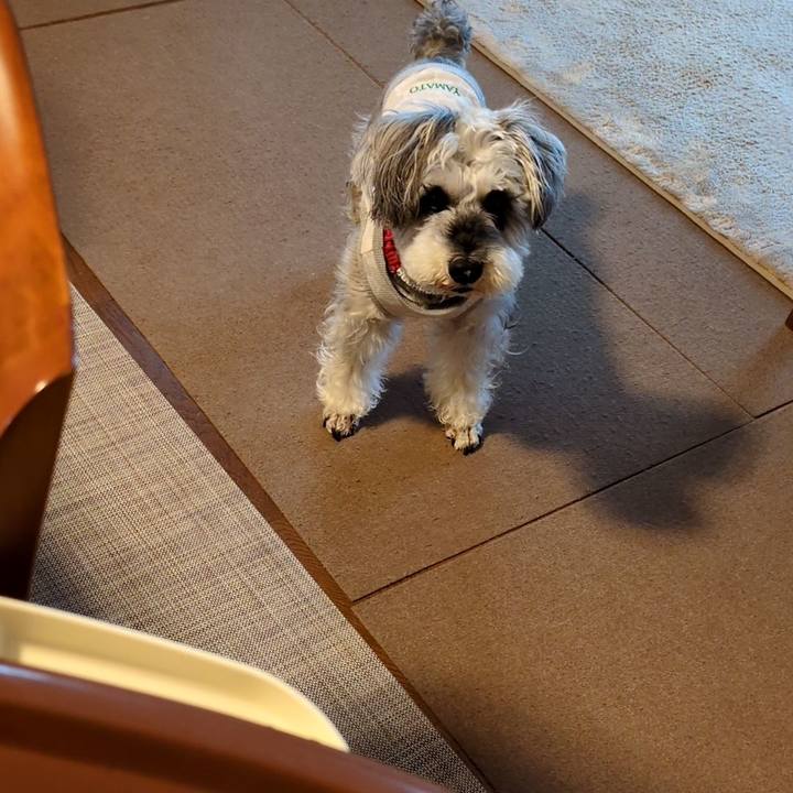 B00cfdad 911f 4e0c ac9d e43a260dc931 1750581315851