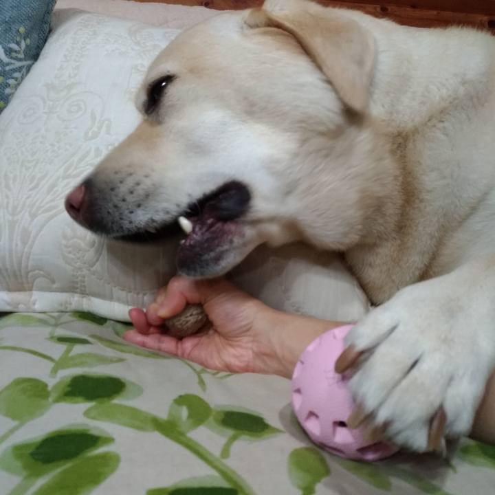 B00d1bb4 f035 4f5e 8b48 5a1f332846b6 1615461400822