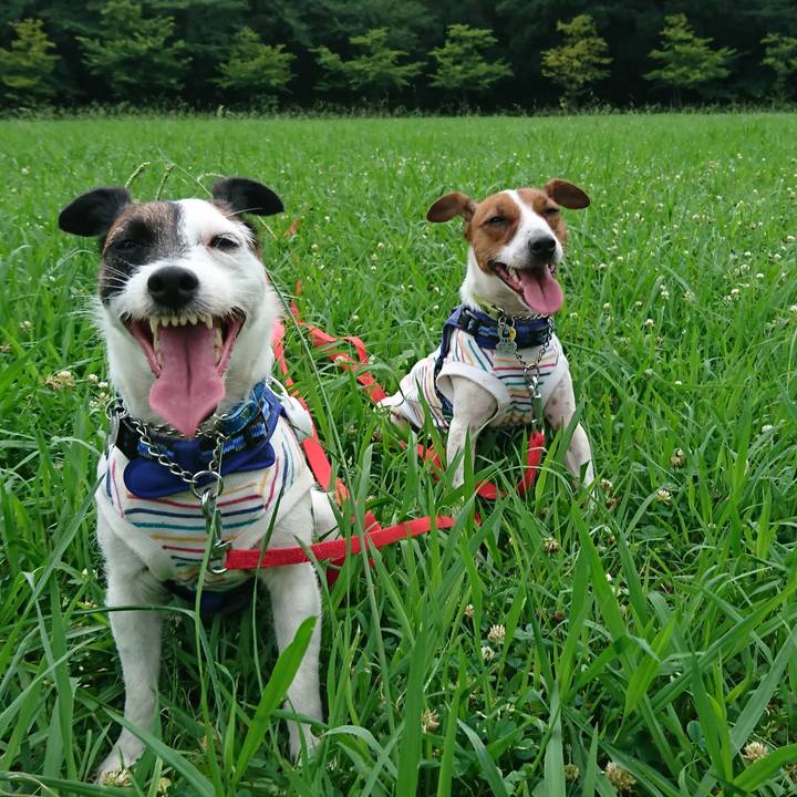 B00d2ae9 a66c 455b 8190 33cbf4e5012b 1562144800622