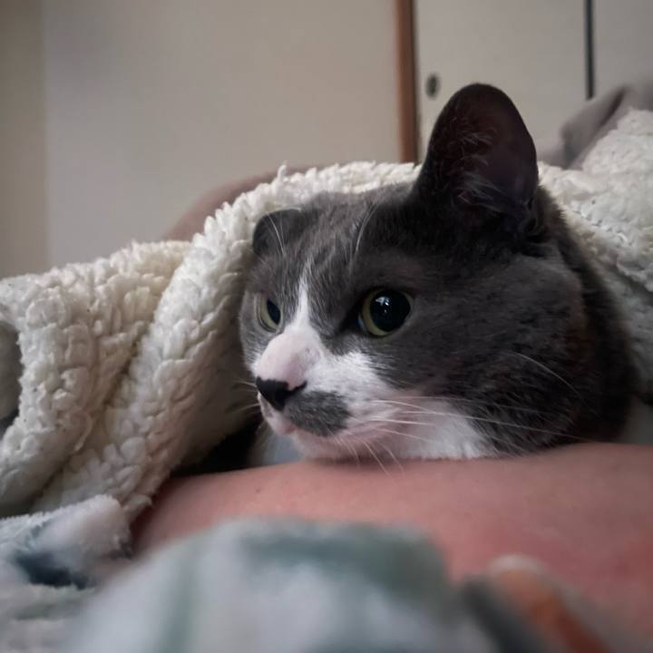 B00d4259 851b 4b4a b6a7 d9481360cbc3 1744840494865