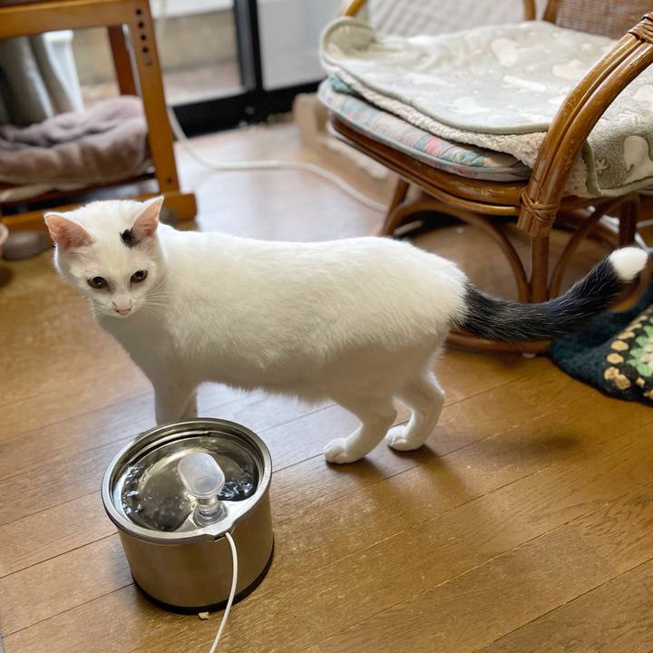 B00d463a 426a 4cf0 a159 068169491fa4 1762660785388