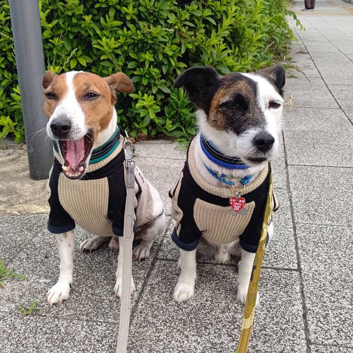 B00d7ef6 87c6 453f b13b facb96a2cc58 1686005302910