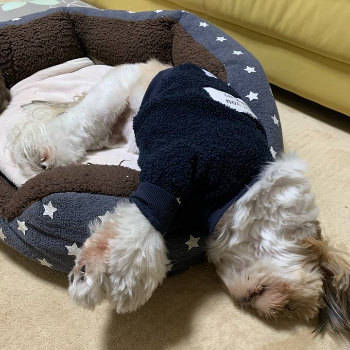 B00d8e6f c257 4e40 8aaf a70cc3942ae8 1608979265621