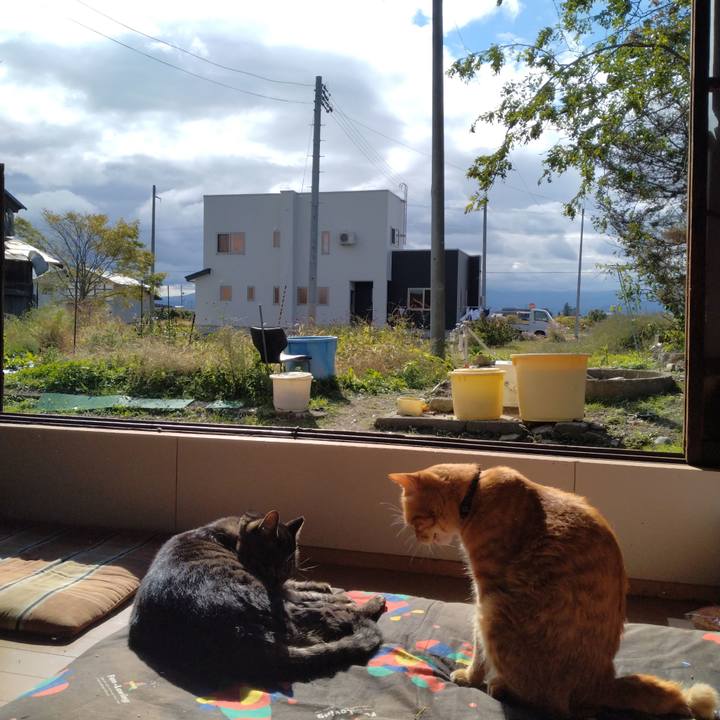 B00dadf3 2bce 44f5 bc9a fb09e1ac1308 1666226908478