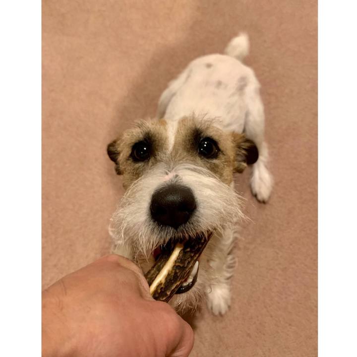 B00dedf2 0a97 49c3 aa15 9fddb4a62d96 1613735374071