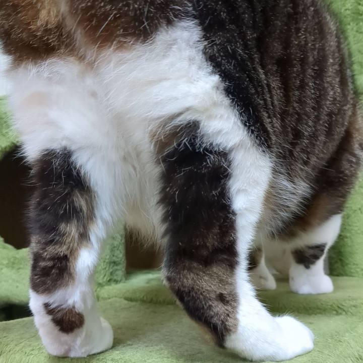 B00e6c97 dcb1 46cb 9fd8 5c9bdb16c21c 1739449306597