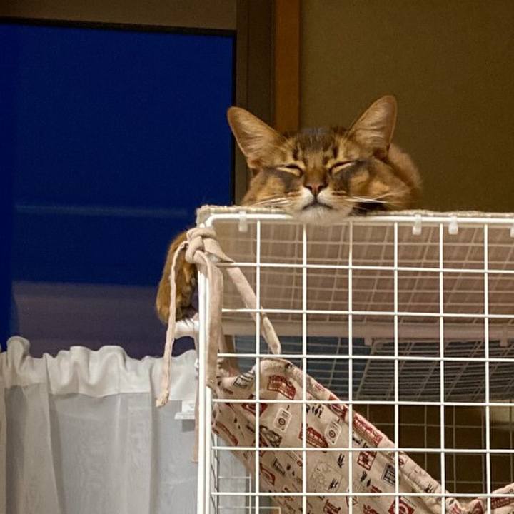 B00e7f25 e5e2 431f 99ad 4901f5d089e7 1617189624433