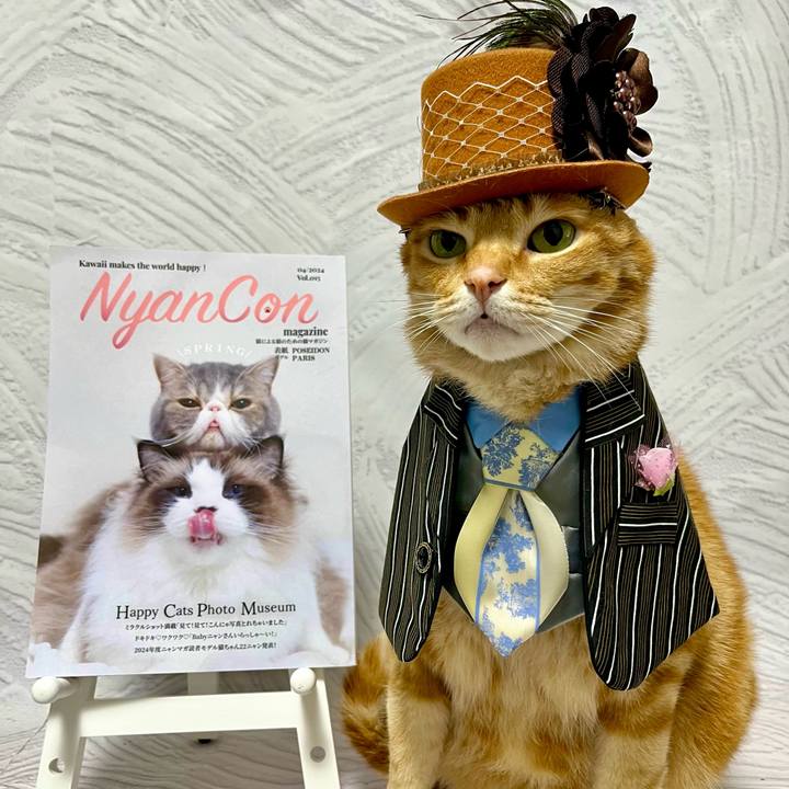 B00e83cd bf7f 4150 8150 6106d778b6b6 1714611320198