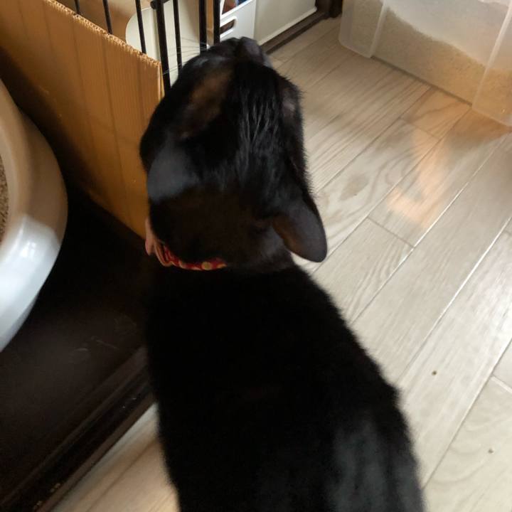 B00e8db1 702c 4d7f 9a41 0005f4c88ad9 1613342125868