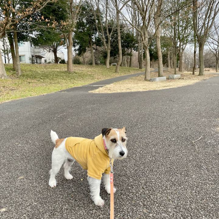 B00e90a2 ee25 49b8 a38a 15bbbc124cc6 1676880478640