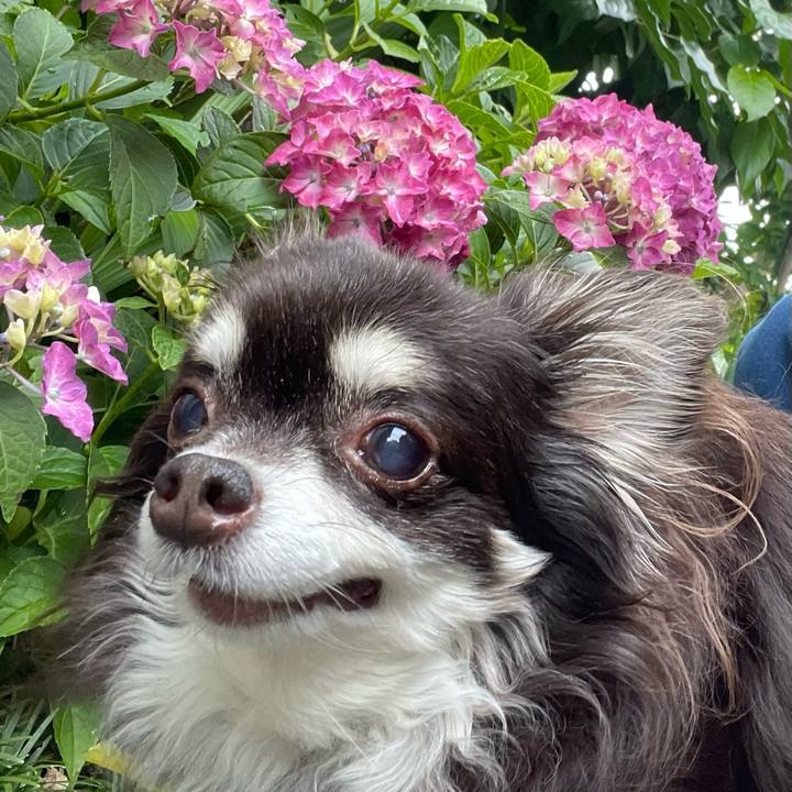 B00e9957 e90d 4eec 9438 e19a6c1745f9 1654138297194