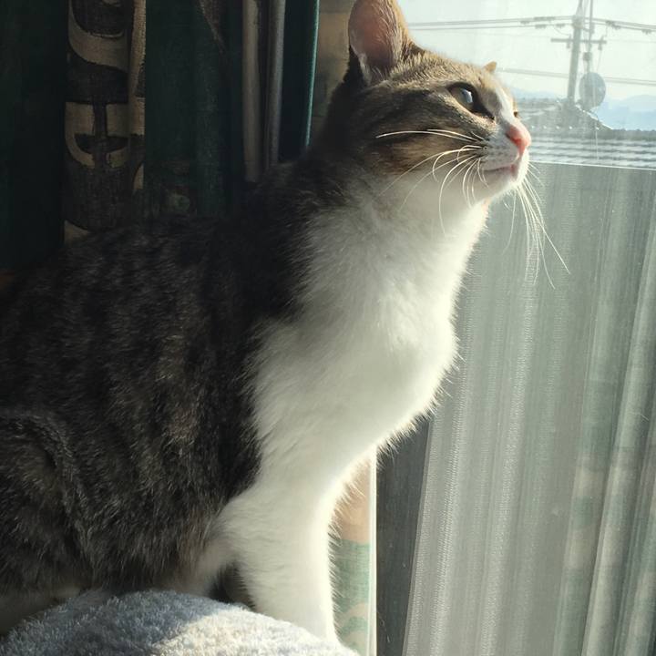 B00eafc3 cda1 4eb0 b330 1a60627dd08b 1665055586075